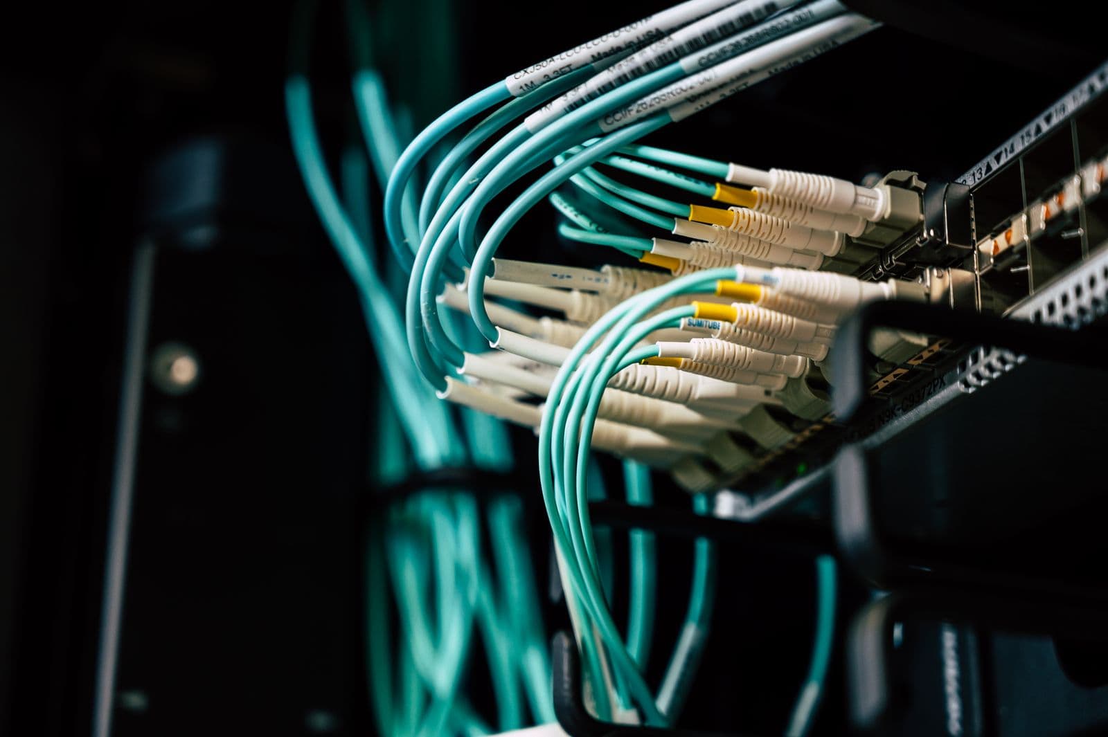 Network cables connected to a server switch